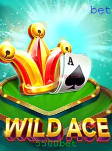 Descobrindo o universo de WildAce: Introdução e regras do jogo emocionante